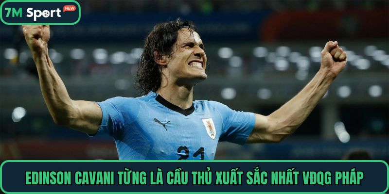 Edinson Cavani từng là cầu thủ xuất sắc nhất VĐQG Pháp