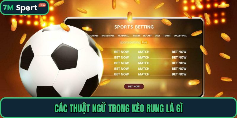 Các thuật ngữ trong kèo rung là gì