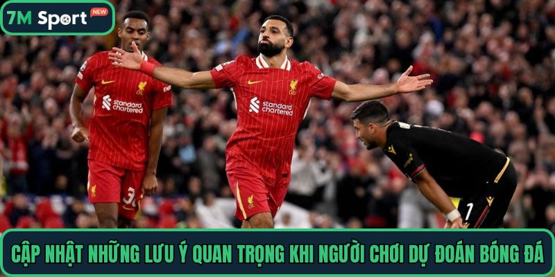 Cập nhật những lưu ý quan trọng khi người chơi dự đoán bóng đá