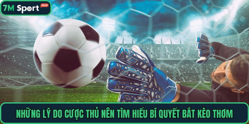 Những lý do cược thủ nên tìm hiểu bí quyết bắt kèo thơm